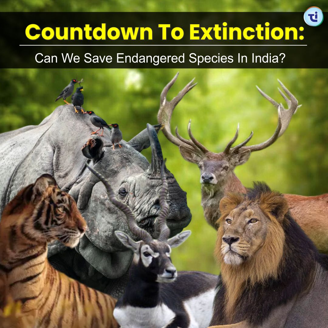 Countdown to Extinction: Can We Save Endangered Species In India?